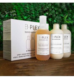 BE TEKNIC – B-PLEX (COMPLEJO DE RESTAURACIÓN DE ENLACES) KIT