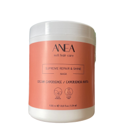 ANEA TECHLINE - REPAIR & SHINE MASCARILLA EXPERIENCIA NATA 1000ML