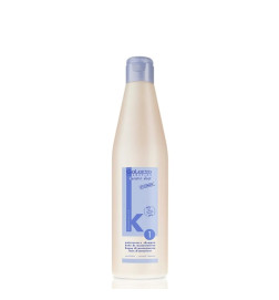 SALERM - CHAMPU KERATIN SHOT 500 ML
